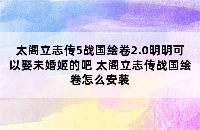 太阁立志传5战国绘卷2.0明明可以娶未婚姬的吧 太阁立志传战国绘卷怎么安装